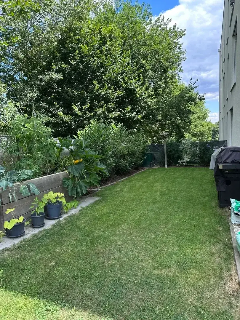 Immobilienbild 2