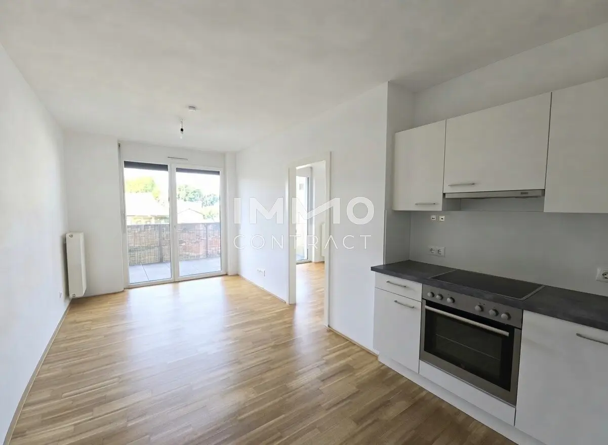 Immobilienbild 2