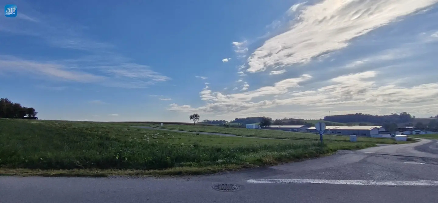 Großzügiger Betriebsbaugrund 6219m² - TEILBAR - in Buchkirchen bei Wels