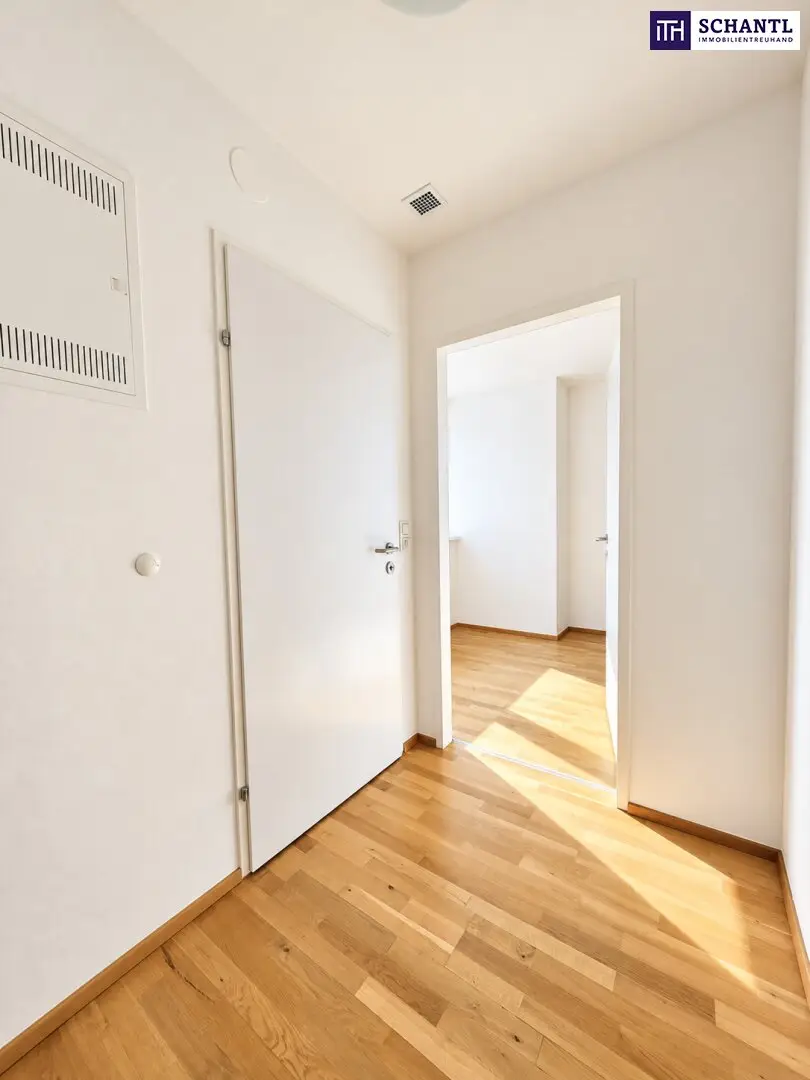 Immobilienbild 4