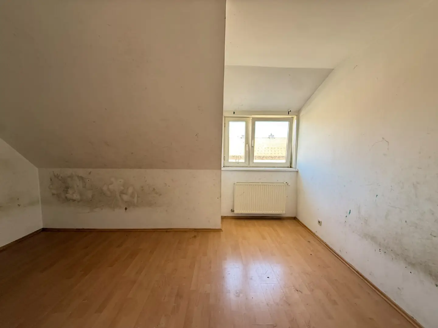 Zimmer I