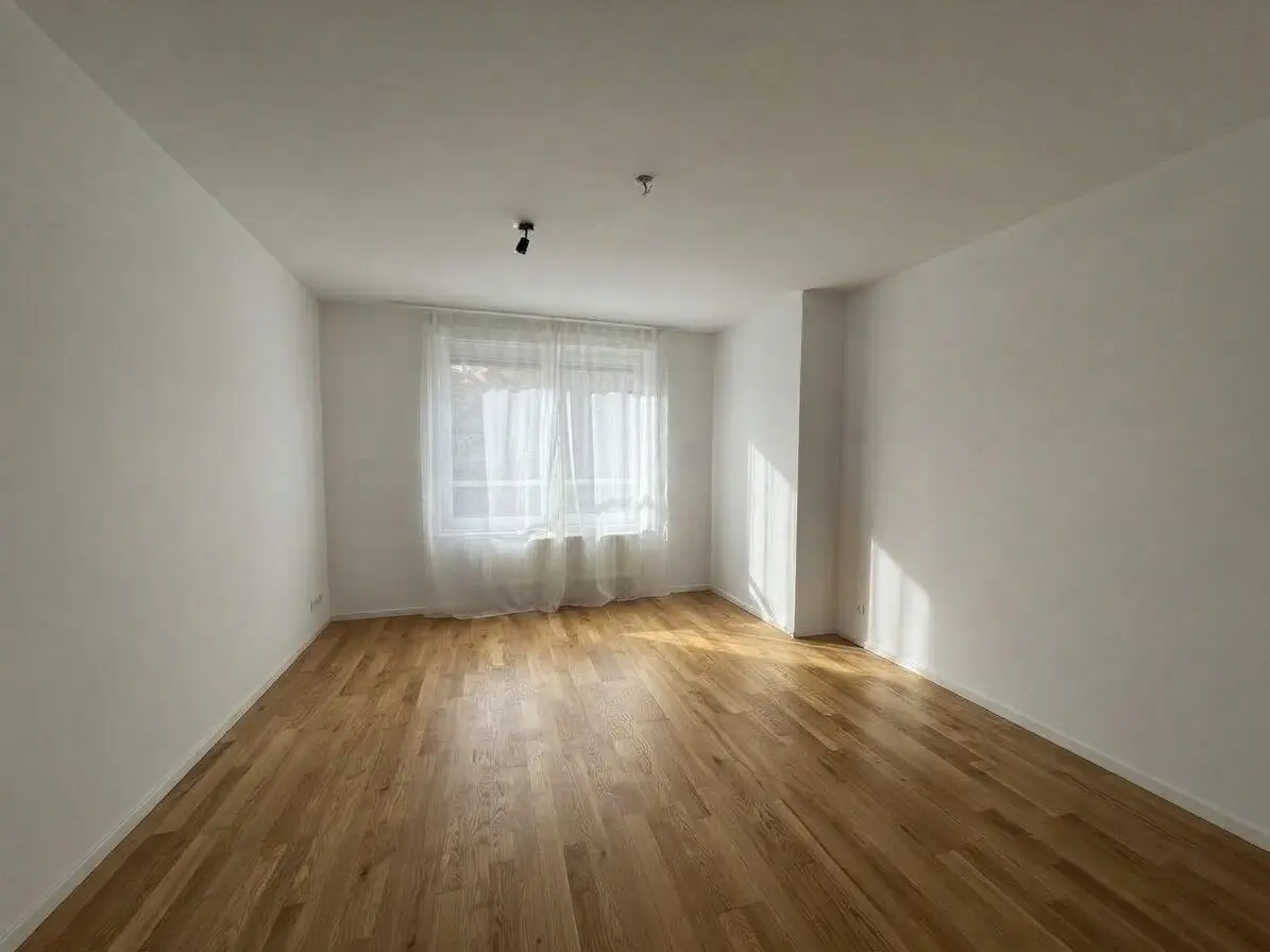 Immobilienbild 3
