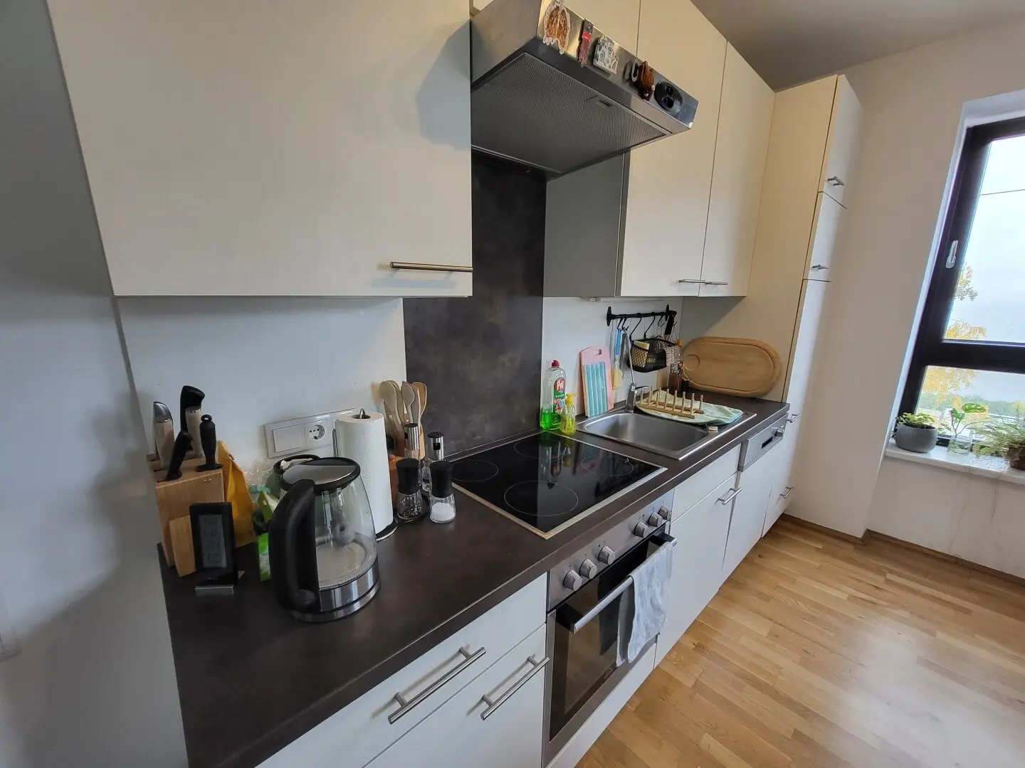 Immobilienbild 2