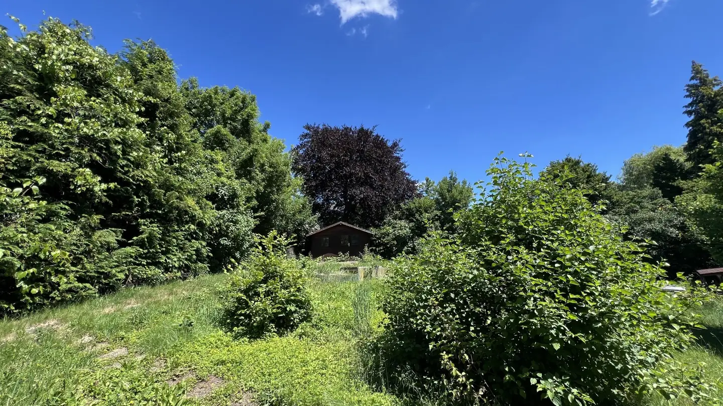 Immobilienbild 3