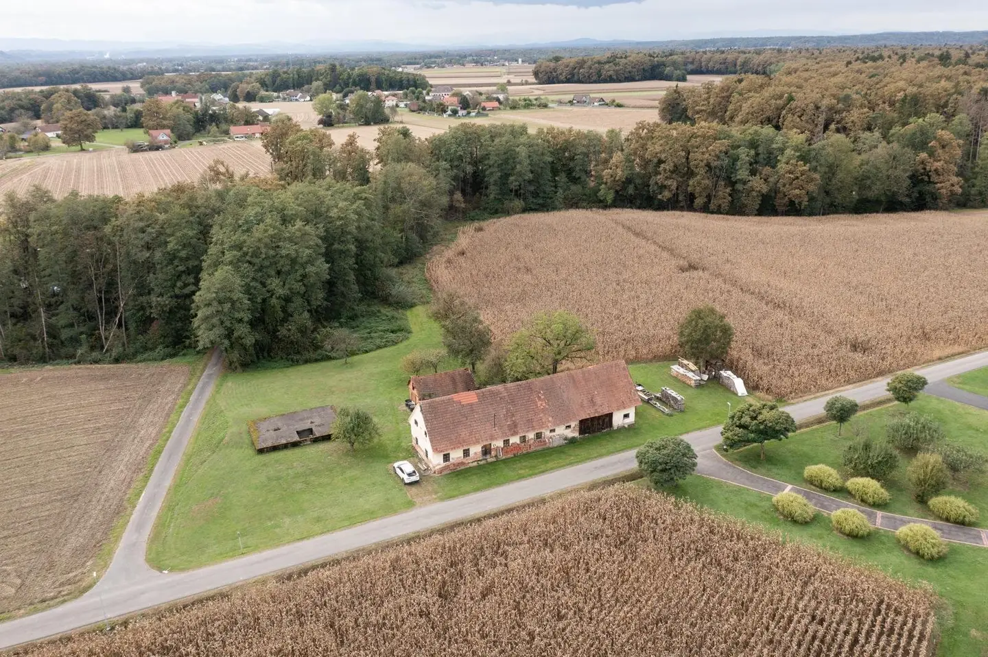 Älteres Bauerngehöft mit 2,6 Hektar umliegenden Wiesen und Waldgrund - Verdoppelung möglich - alter Rohbaukeller vorhanden
