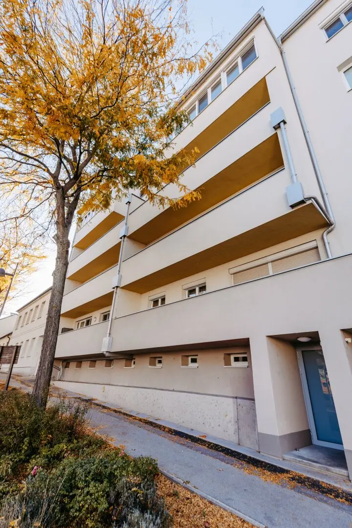 ANLEGER – EIGENTUMSWOHNUNG (81,00 m²) mit + ca. 8,00 m² Balkon und überdachtem Abstellplatz