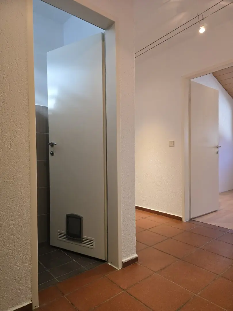Immobilienbild 3