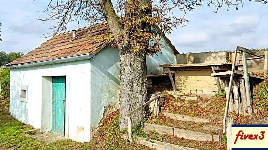 Immobilienbild 3