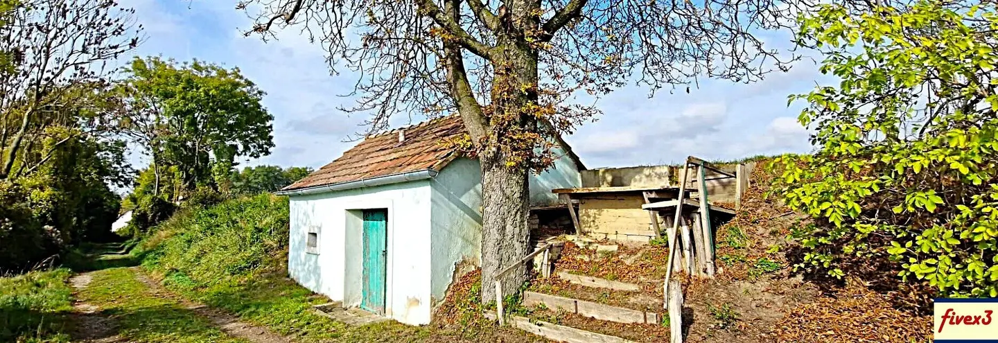 Immobilienbild 4