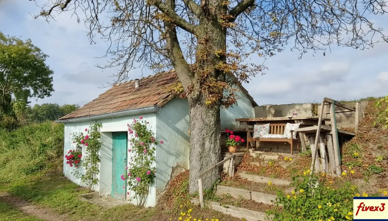 Immobilienbild 2