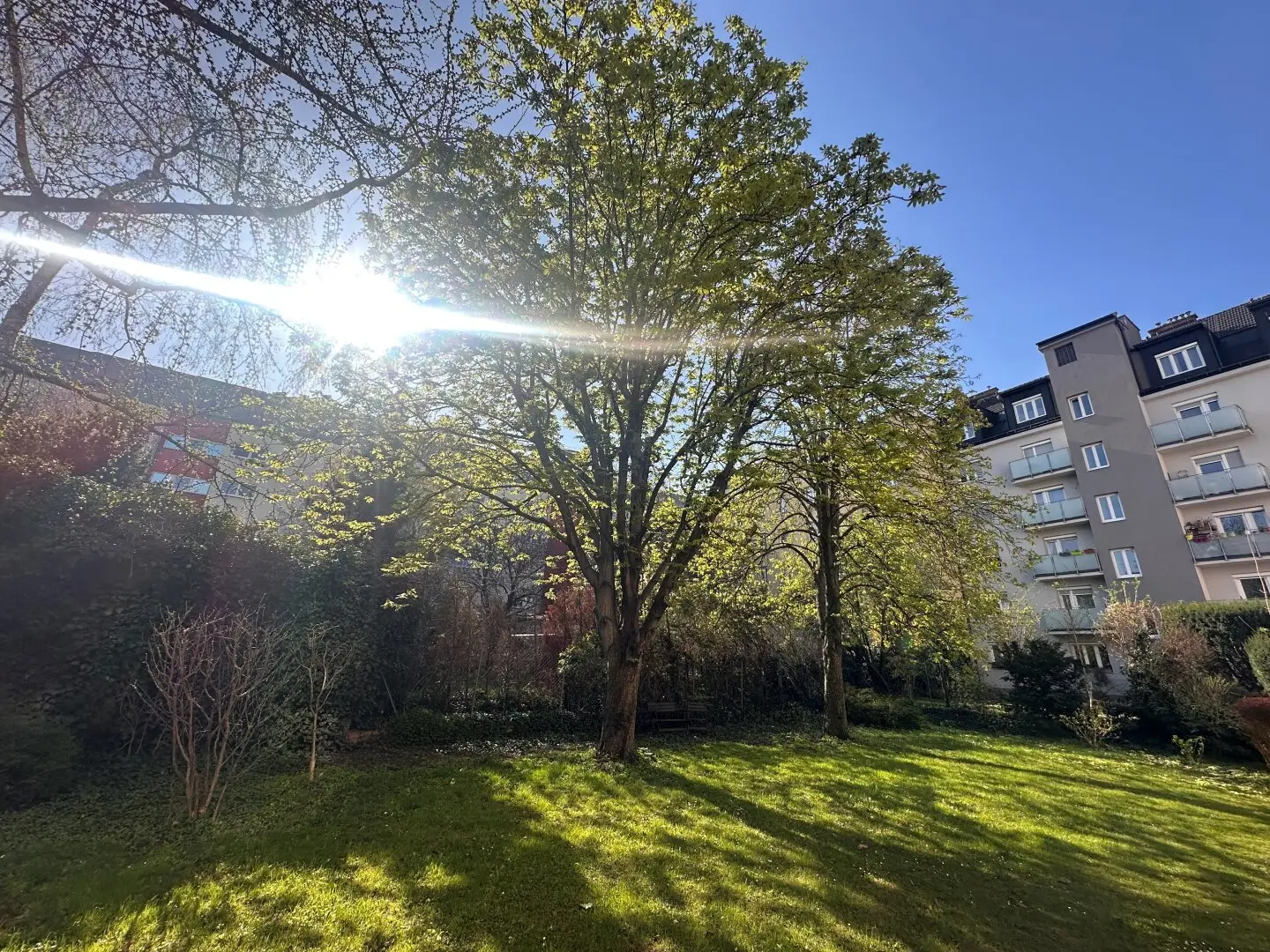 Großzügige, sonnige 3-Zimmer-Wohnung + ganzjährig nutzbare Loggia – 1210 Wien