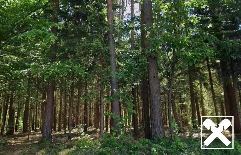 Waldnahes Refugium mit hohem Erholungswert Wohnung