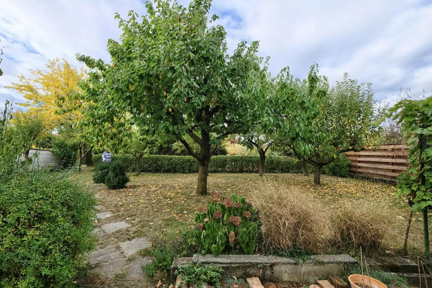 Garten