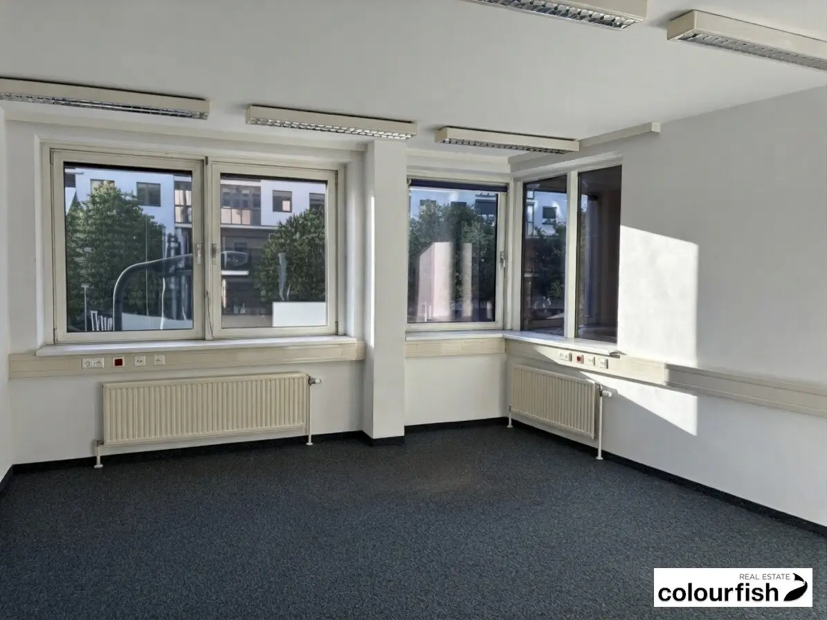Immobilienbild 4