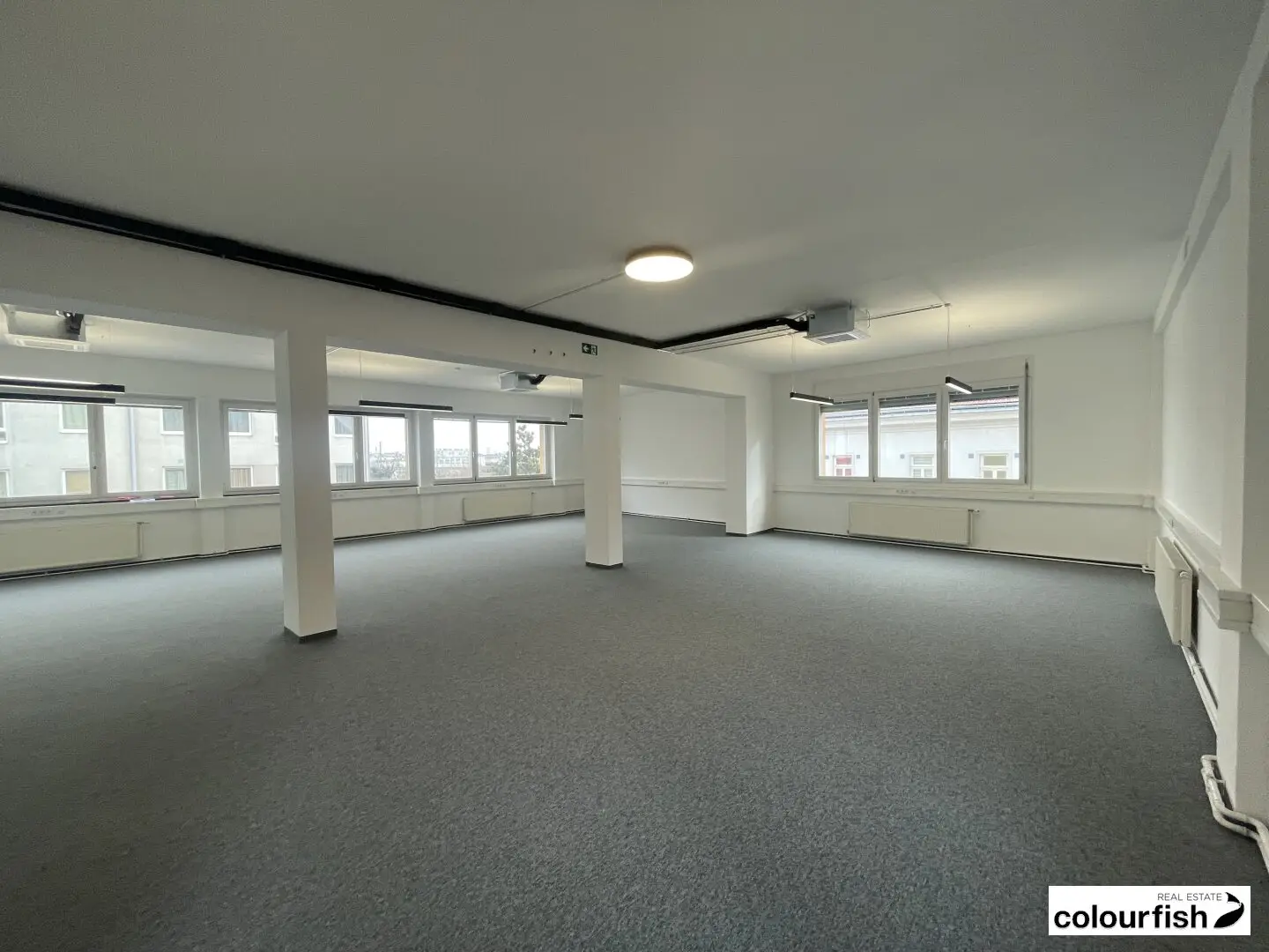 Top renovated loft office in IP.ONE