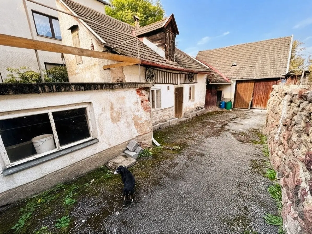 Immobilienbild 2