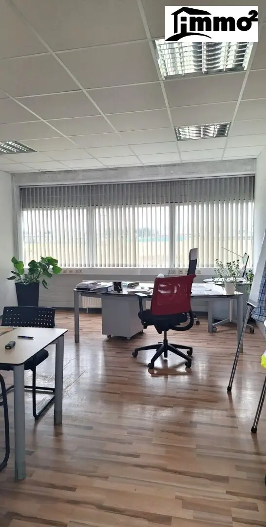 Immobilienbild 2