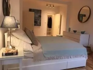 Neu3