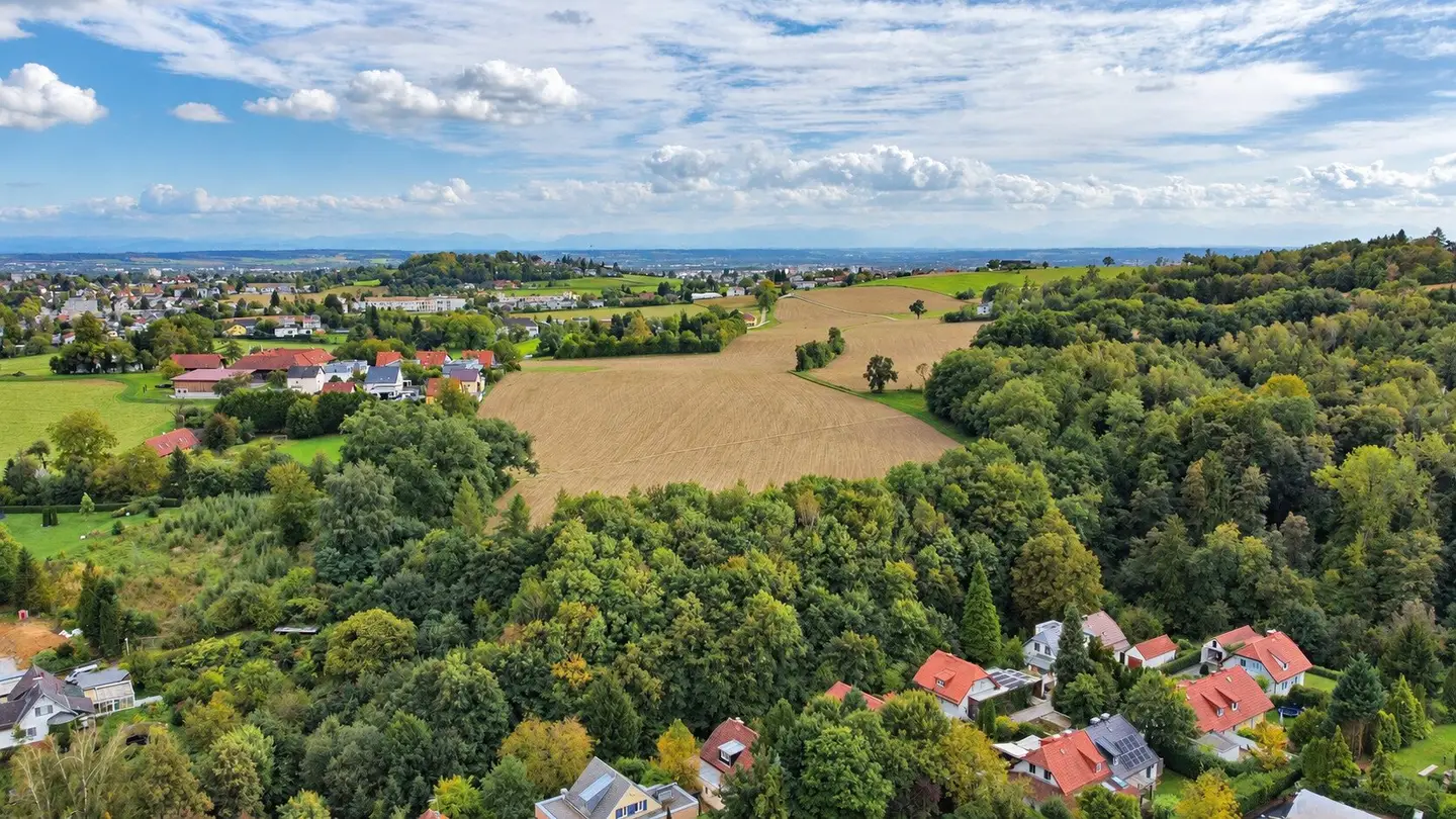 Immobilienbild 4