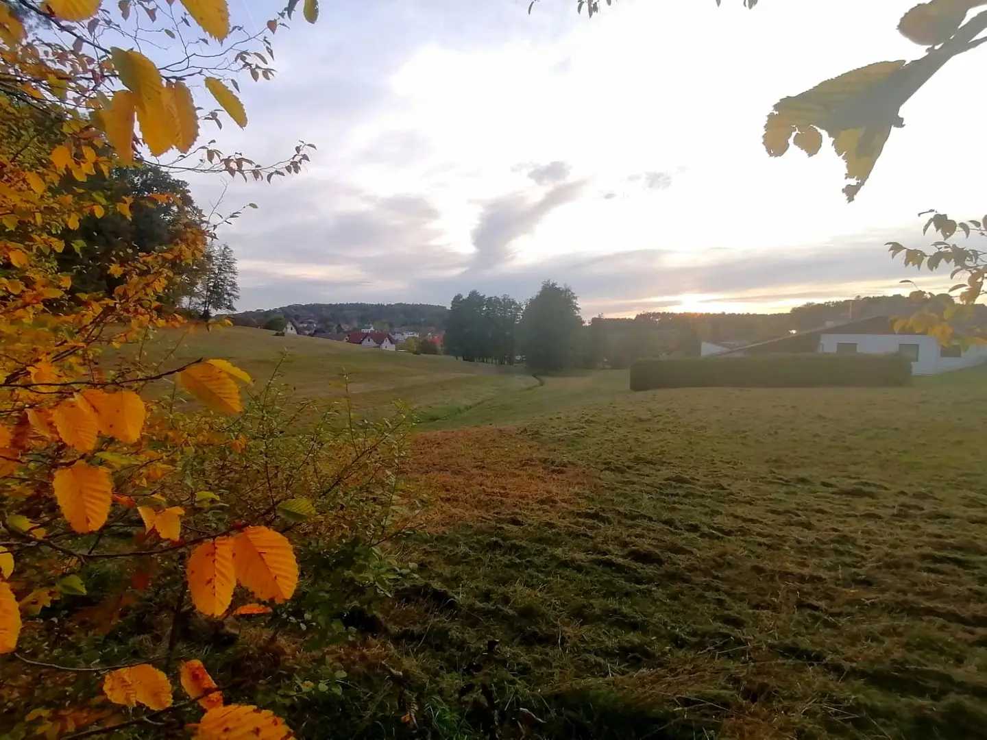 Südseitig gelegen mit unverbaubarem Blick Wohnung