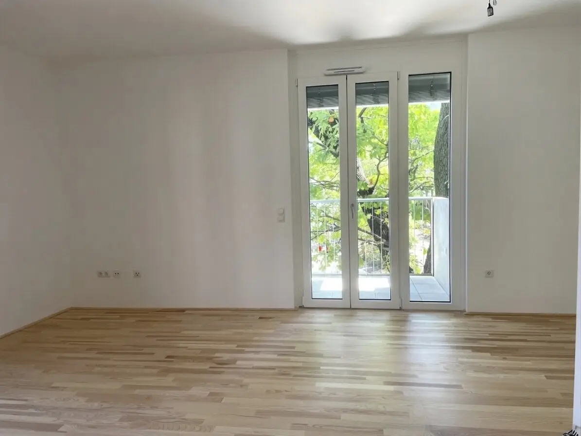 Immobilienbild 4