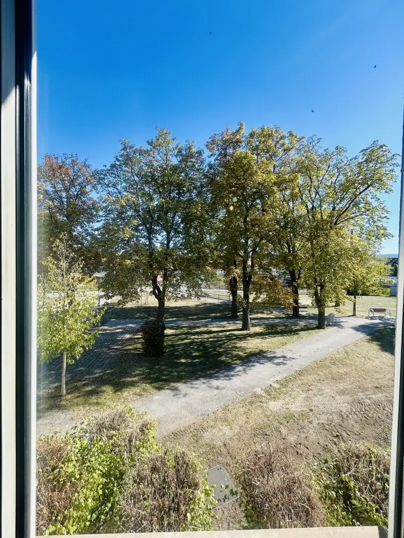 Immobilienbild 3