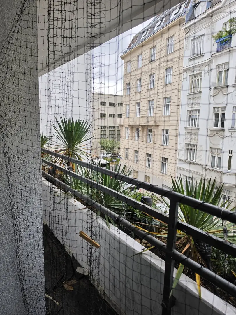 Immobilienbild 3