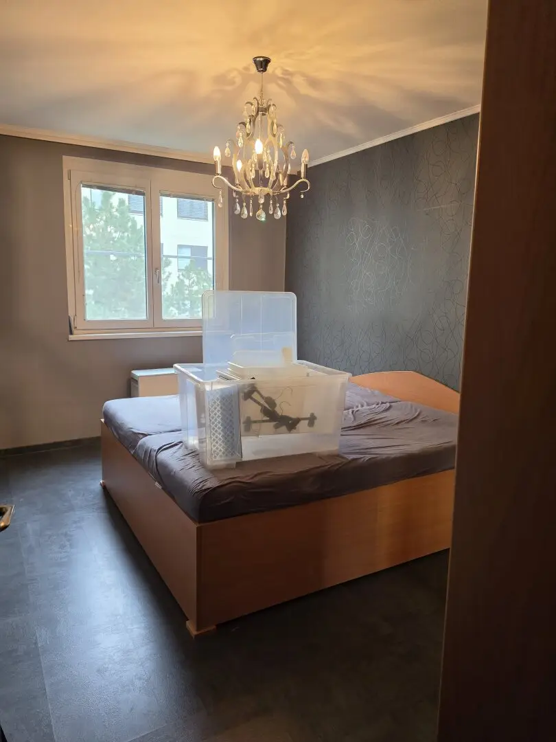Immobilienbild 4