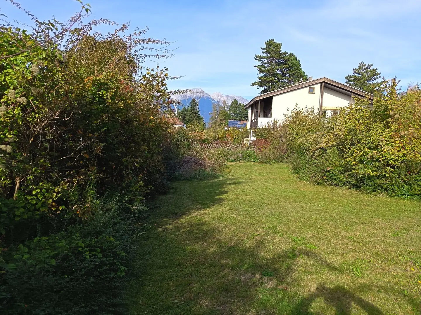 Immobilienbild 3