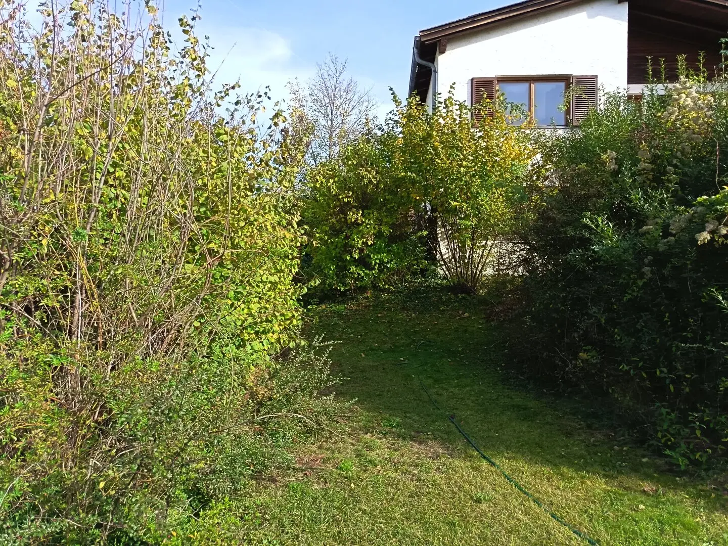 Immobilienbild 4