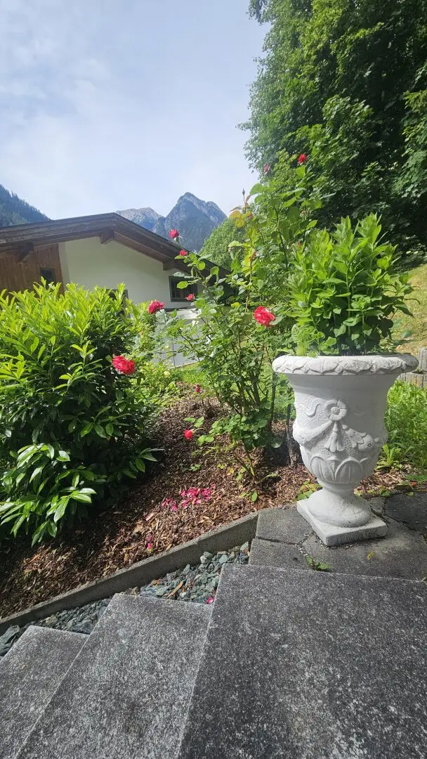 Immobilienbild 3
