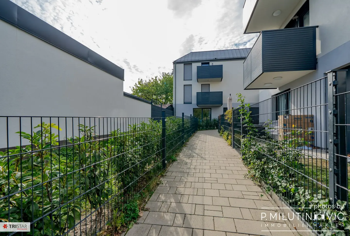 Immobilienbild 2