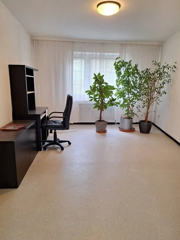 Immobilienbild 4
