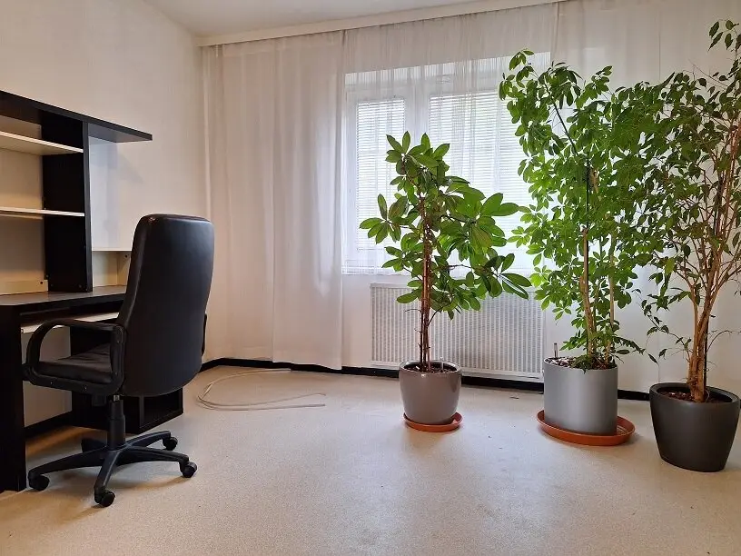 Immobilienbild 3