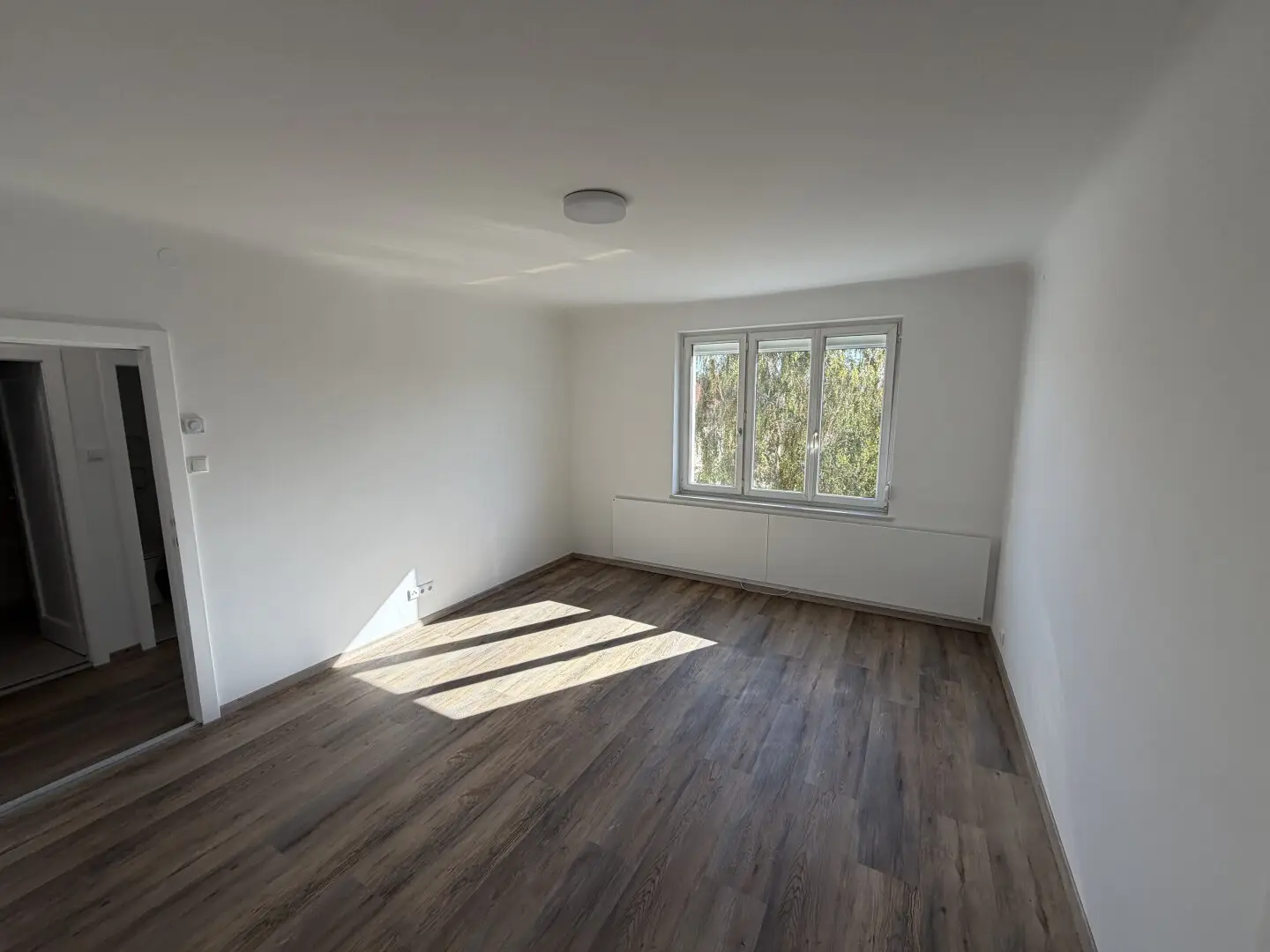 Immobilienbild 3
