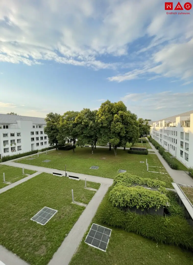 Kleine 3-Raum-Dachgeschosswohnung mit großer Terrasse (15 m²) in Linz/Bindermichl! Bezug ab 01.12.2026!