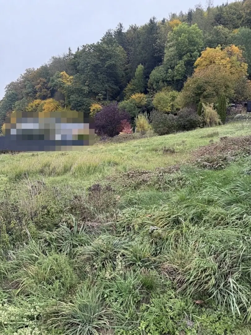 Grundstück zwischen Munderfing und Friedburg