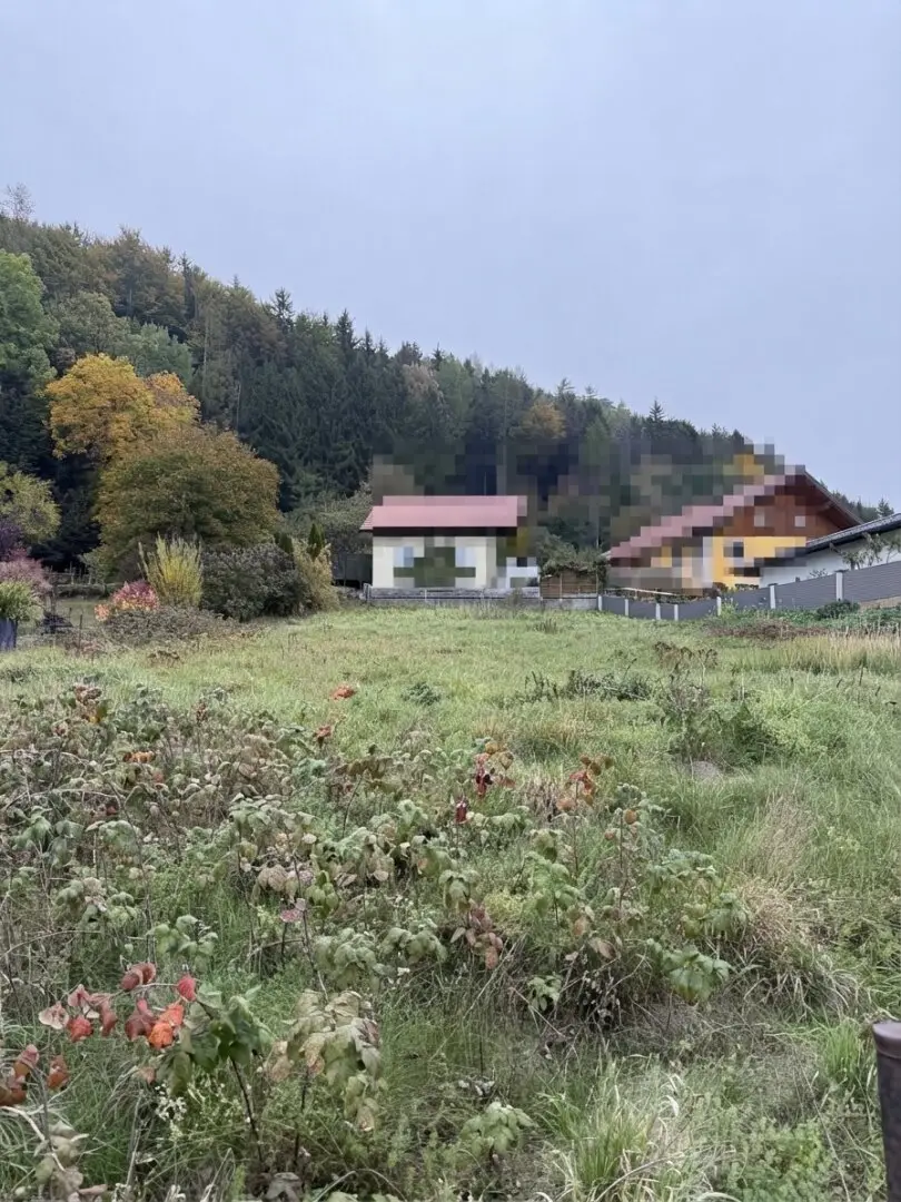 Immobilienbild 2