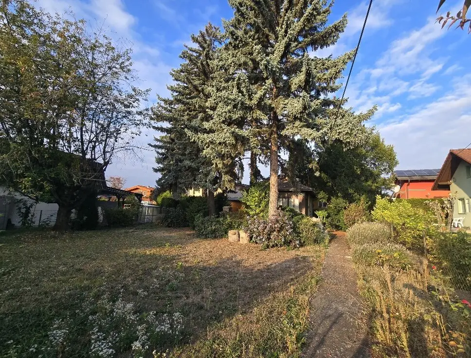 Garten im Eigentum der Kleingartenanlage Blumental