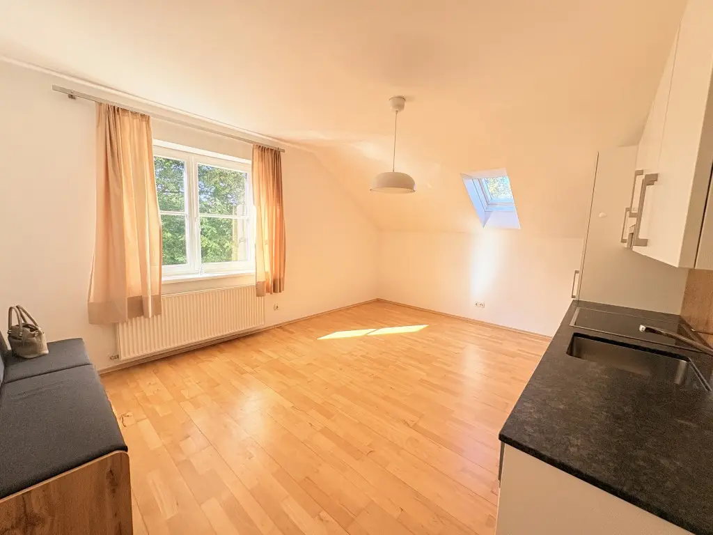Wohn- Esszimmer mit Küche 1