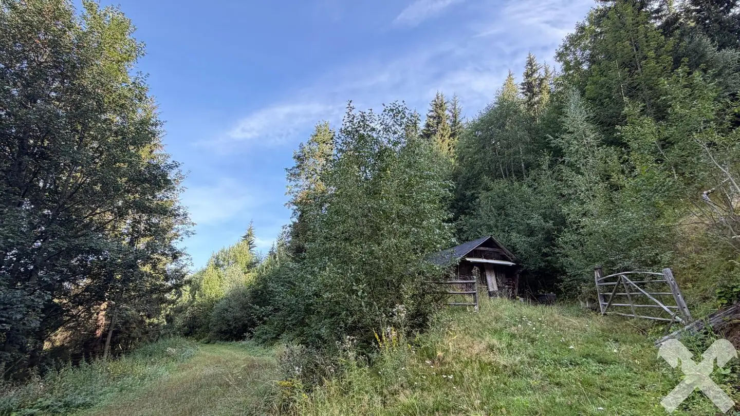 Forstfläche