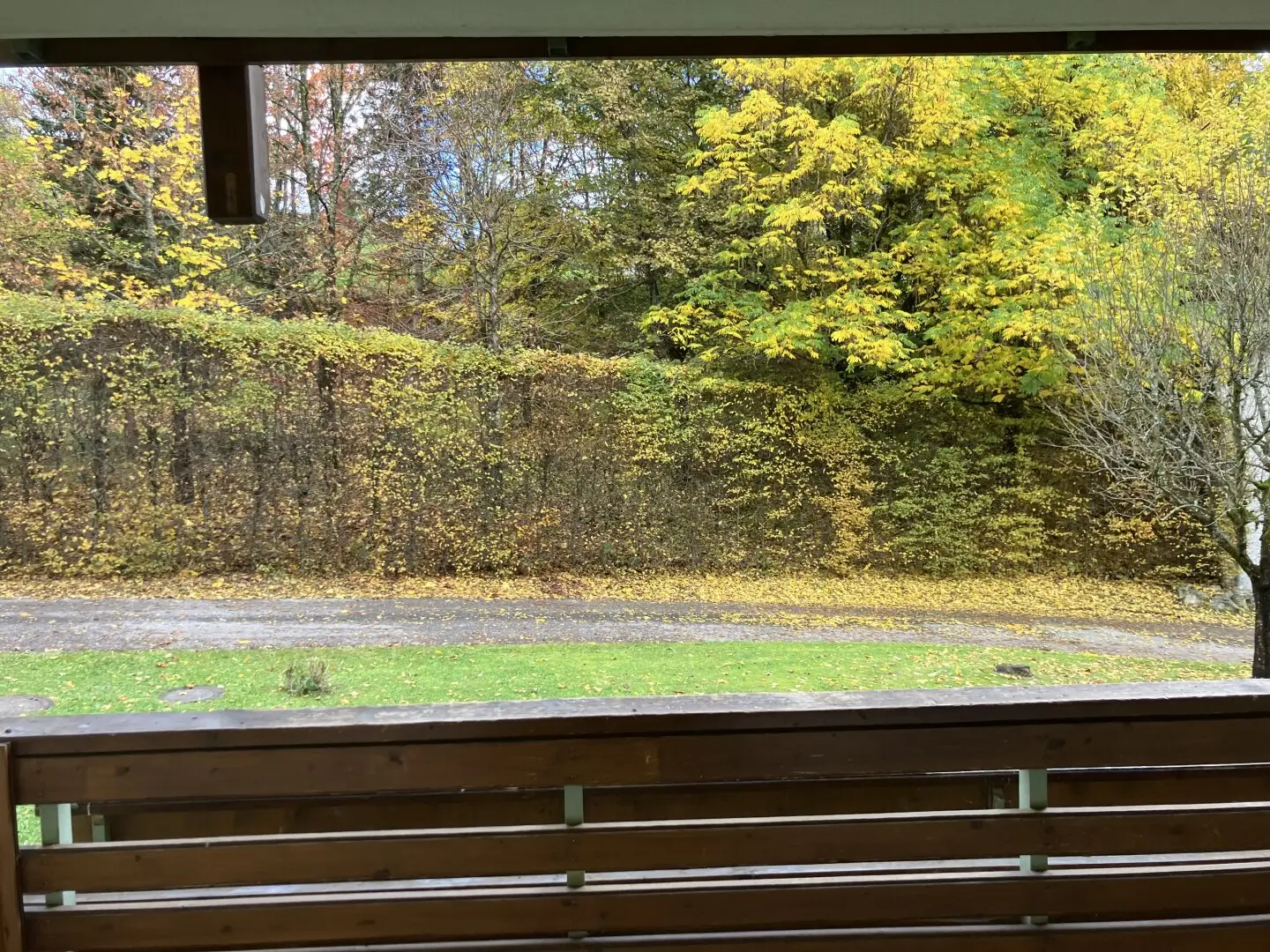 Immobilienbild 4