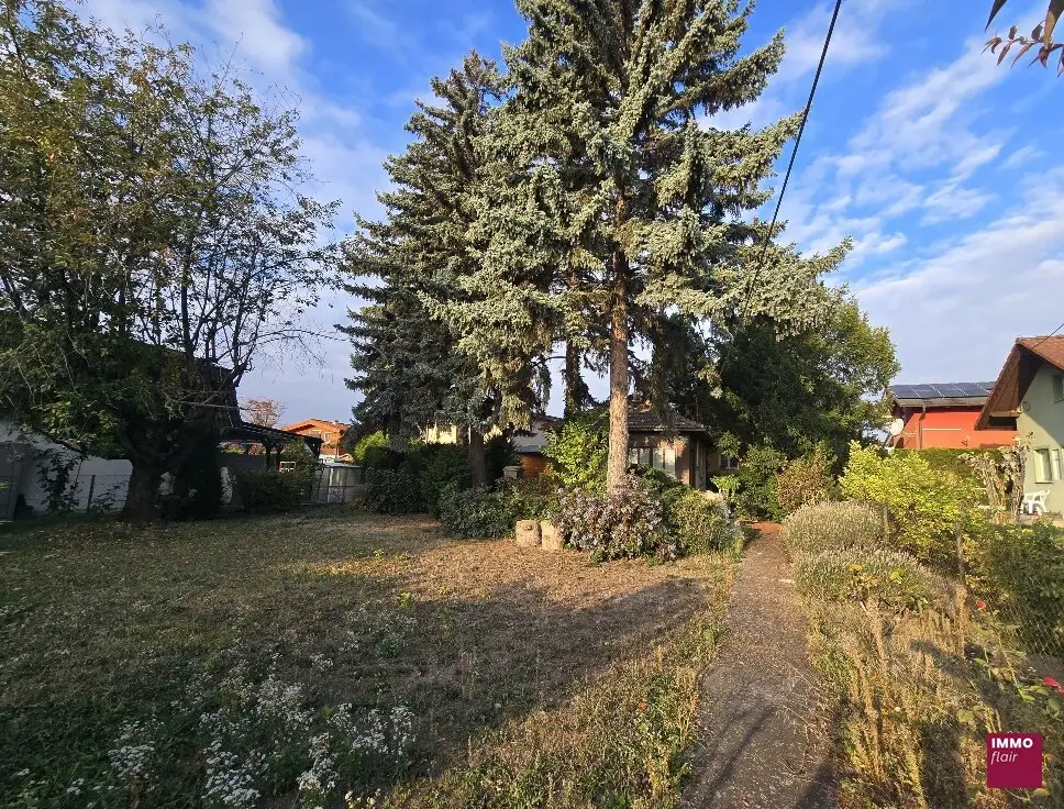 Garten im Eigentum der Kleingartenanlage Blumental