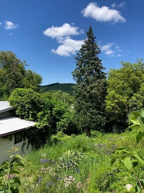 Immobilienbild 3