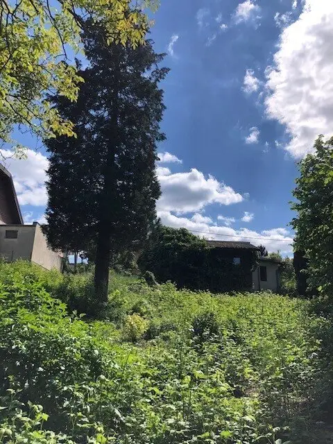 Wunderschönes Baugrundstück mit schöner Aussicht in Breitenfurter Grünruhelage