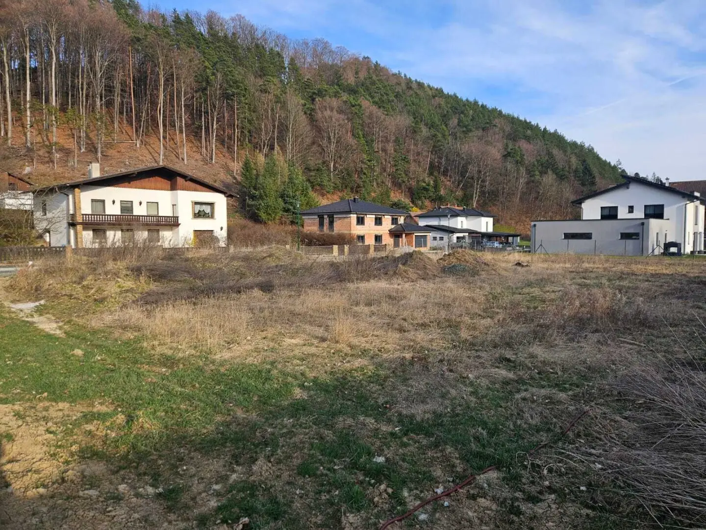 Immobilienbild 3