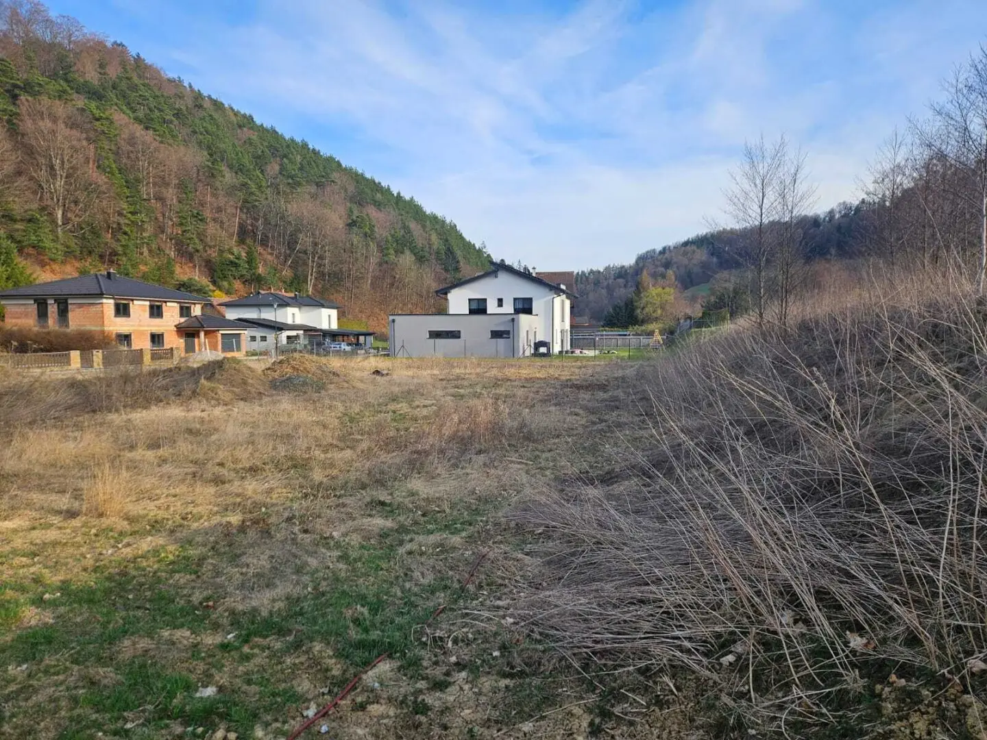 Immobilienbild 2