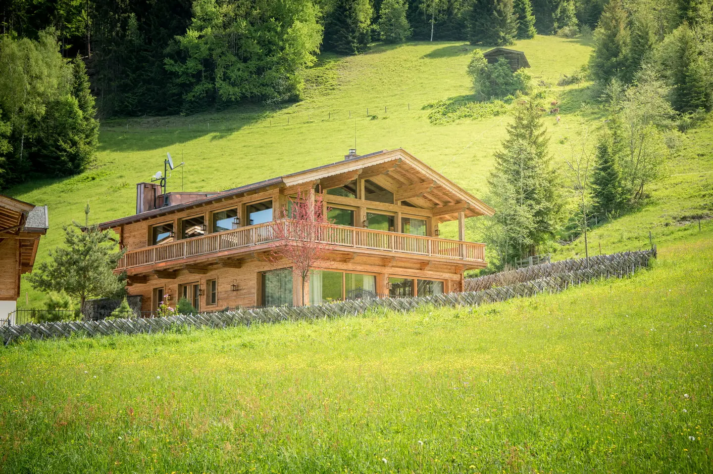 Helle Ferienwohnung am Waldrand mit Bergblick