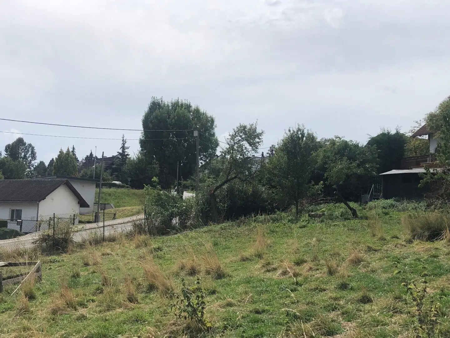 Immobilienbild 4