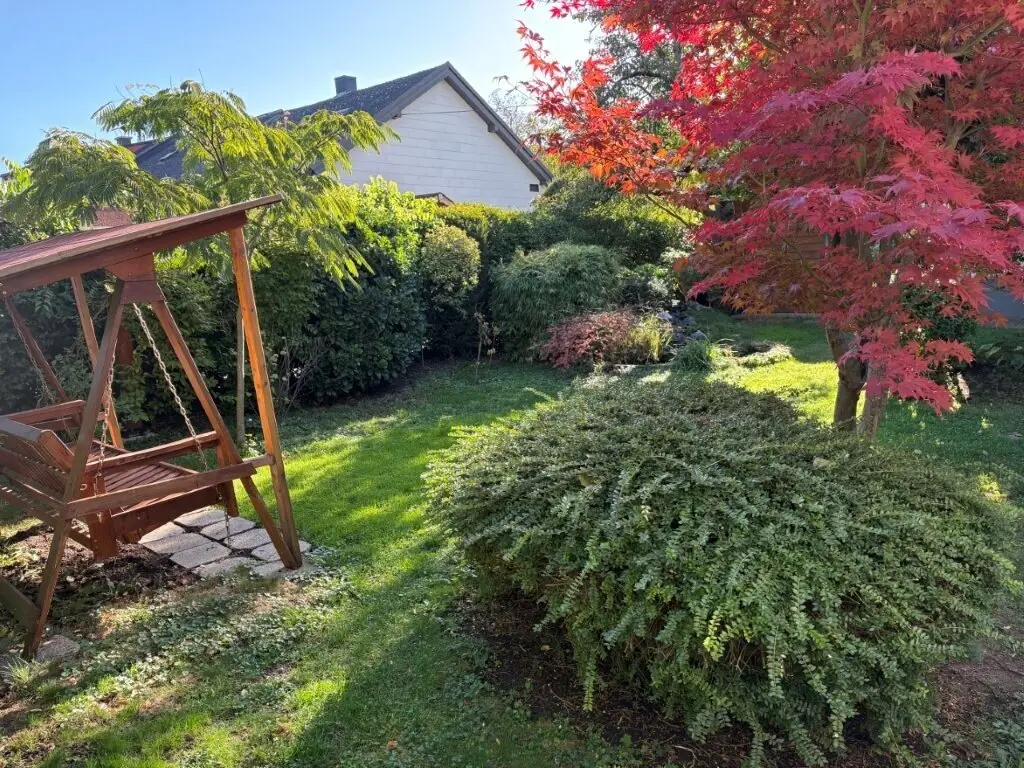 Immobilienbild 3